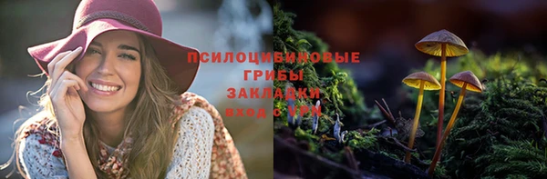крисы Горнозаводск
