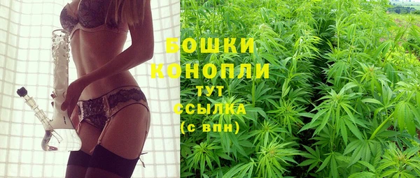 крисы Горнозаводск