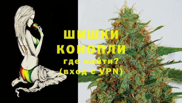 крисы Горнозаводск