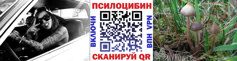 Галлюциногенные грибы MAGIC MUSHROOMS  Иваново 